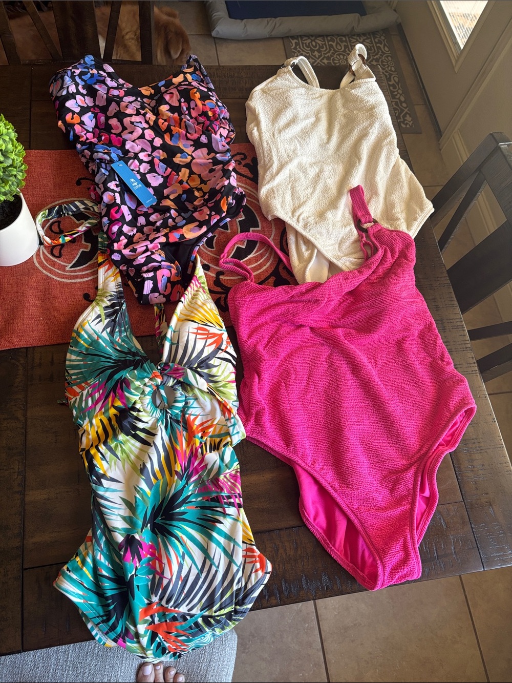 Shade & Shore Hot Pink, Cream, Tropical & Multicolor Women’s Swim Bodysuit Lot